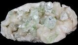 Zoned Apophyllite Crystals on Stilbite - India #44447-1